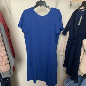 Ann taylor slip on work dress